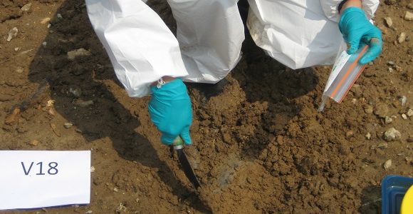 Phase 3 Soil Remediation Services Phase 3 Soil Remediation Services