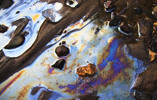  Contaminated Site Assessment & Management