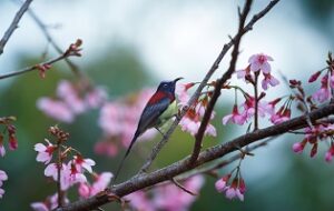 Ecology & Habitat Assessment