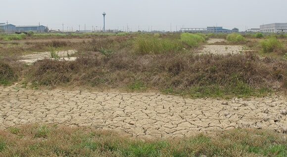 Enhanced Phase 1 Environmental Site Assessment (EDD) Enhanced Phase 1 Environmental Site Assessment (EDD)