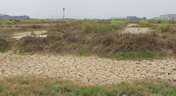Enhanced Phase 1 Environmental Site Assessment (EDD) Enhanced Phase 1 Environmental Site Assessment (EDD)