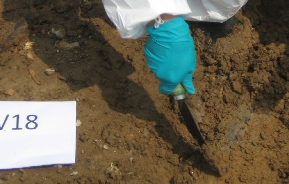 Phase 3 Soil Remediation Services Phase 3 Soil Remediation Services