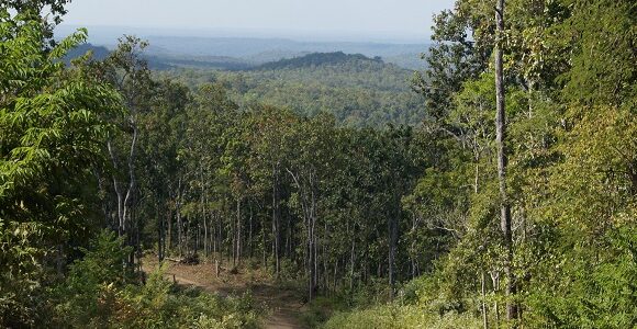 การบริการตรวจสอบโดยผู้เชี่ยวชาญด้านการประเมินผลกระทบด้านสิ่งแวดล้อมและสังคม