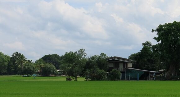 ประเมินคุณภาพและความเสี่ยงด้านสิ่งแวดล้อม (การประเมินขั้นที่ 1)  การประเมินผลกระทบสิ่งแวดล้อม  (EIA) เบื้องต้น